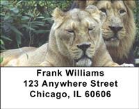 Lions Address Labels