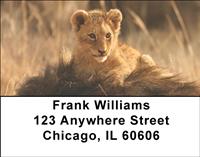 Lions Address Labels