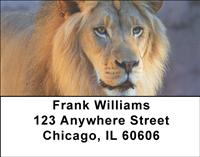 Lions Address Labels