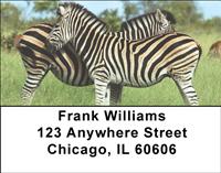 Zebras Address Labels