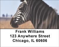 Zebras Address Labels