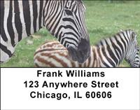 Zebras Address Labels