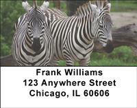 Zebras Address Labels