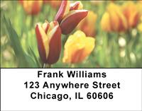 Tulips Address Labels