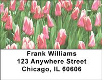 Tulips Address Labels