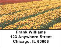 Tulips Address Labels