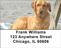 Yellow Labs Address Labels