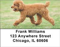 Poodles Address Labels