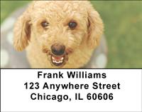 Poodles Address Labels