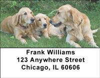 Golden Retriever Address Labels