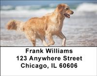 Golden Retriever Address Labels
