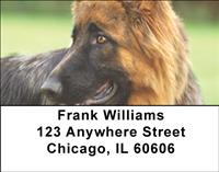 German Shepherds Address Labels