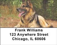 German Shepherds Address Labels