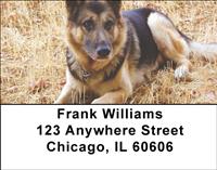 German Shepherds Address Labels
