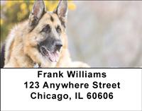 German Shepherds Address Labels