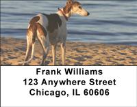 Greyhounds Address Labels