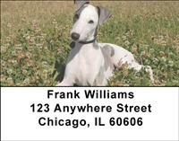 Greyhounds Address Labels