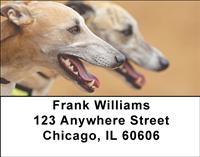 Greyhounds Address Labels