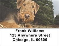 Airedale Terriers Address Labels