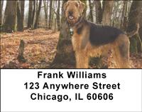 Airedale Terriers Address Labels