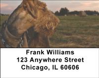 Airedale Terriers Address Labels