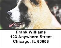 Akitas Address Labels