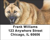 Akitas Address Labels