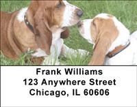 Basset Hounds Address Labels