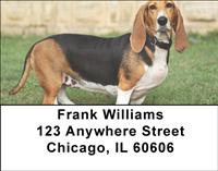 Basset Hounds Address Labels