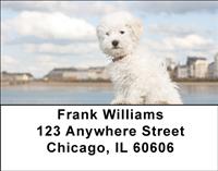 Bichon Frises Address Labels