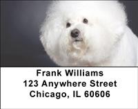 Bichon Frises Address Labels