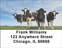 Cows Address Labels