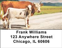 Cows Address Labels