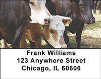 Cows Address Labels