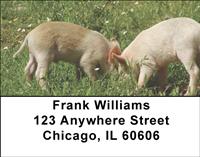 Pigs Address Labels