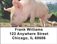 Pigs Address Labels