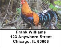 Roosters Address Labels