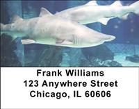 Sharks Address Labels