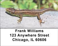 Lizards Address Labels