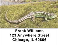 Lizards Address Labels