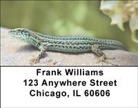 Lizards Address Labels