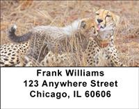 Cheetahs Address Labels