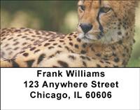 Cheetahs Address Labels