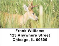 Deer Address Labels