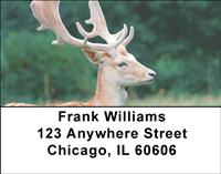 Deer Address Labels