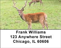 Deer Address Labels