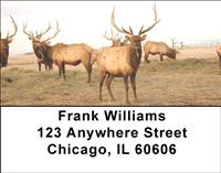 Elk Address Labels