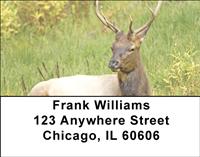 Elk Address Labels