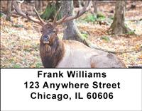 Elk Address Labels