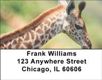 Giraffes Address Labels